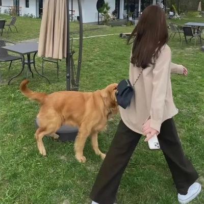 预支未来